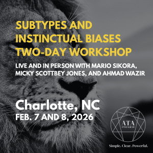 SUBTIPOS Y SESGOS INSTINTIVOS TALLER DE DOS DÍAS