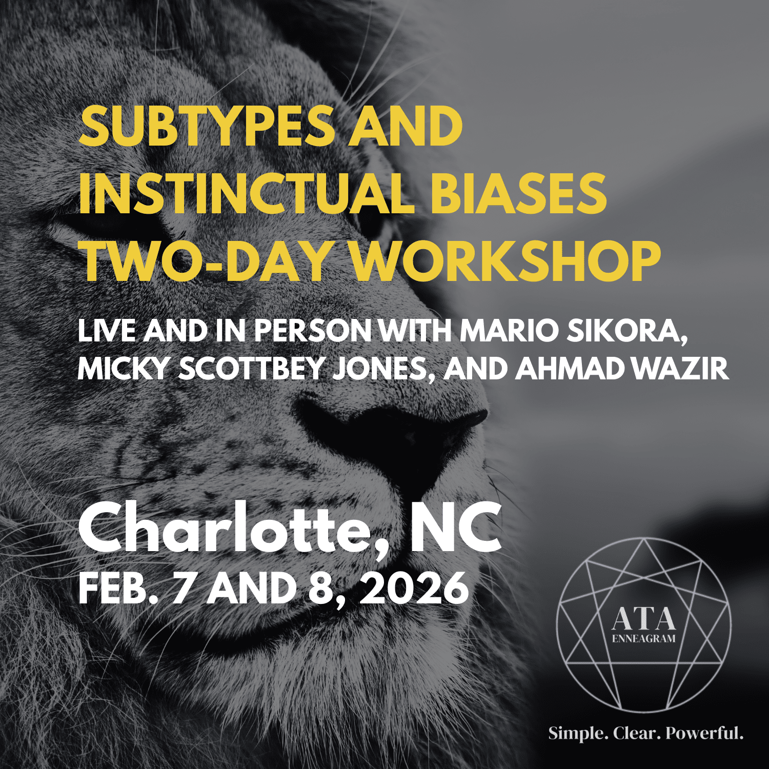 SUBTIPOS Y SESGOS INSTINTIVOS TALLER DE DOS DÍAS